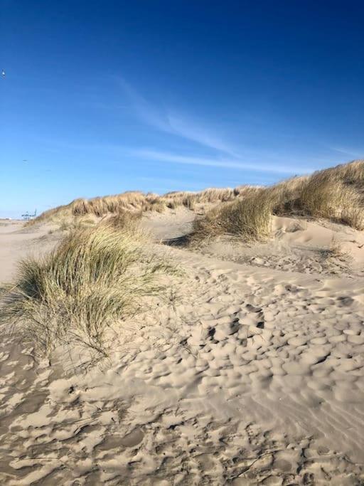 Charmant Zeehuys 100M Van Zee Dichtbij Brugge Blankenberge Dış mekan fotoğraf